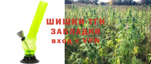 2c-b Богородицк